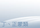 丁、正蒙類